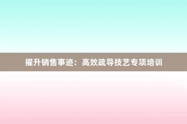 擢升销售事迹：高效疏导技艺专项培训